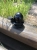 Звонок для электросамоката Ninebot by Segway KickScooter ES1, ES2, ES3, ES4